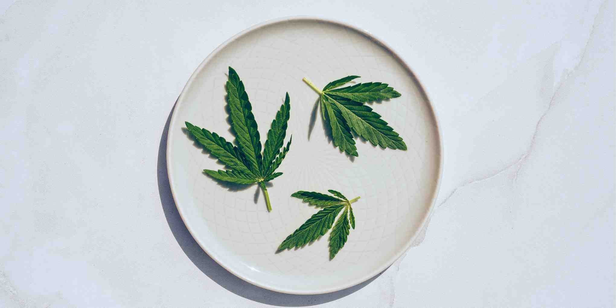 Cold Pressed CBD And Our Newest Brand! - Associated CBD