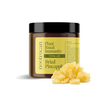 Load image into Gallery viewer, A jar labeled "Nootrocan 750mg Full Spectrum CBD Nootropic Dried Fruits - 300g" is placed against a white background. Next to the jar is a small pile of vegan-friendly dried pineapple chunks. The jar has a black lid and yellow-green label displaying the brand name, "Nootrocan.