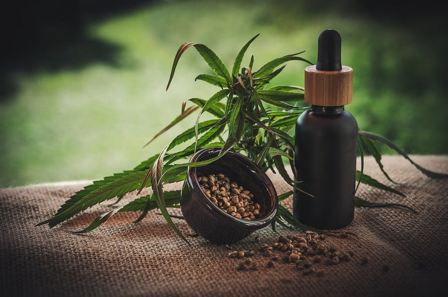 Breaking News: Study finds Cannabinoids block Covid-19 from entering human cells!