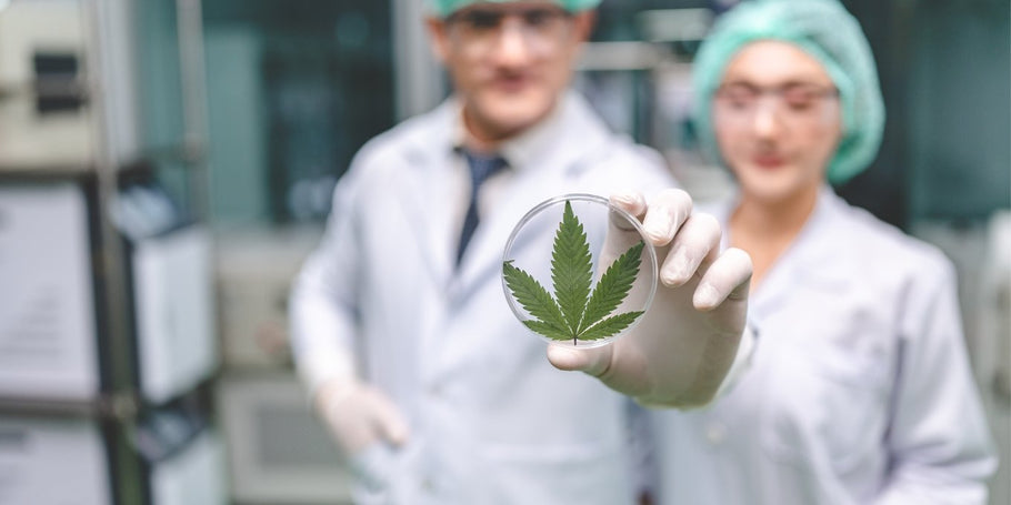 CBD - The Science And Future Potential