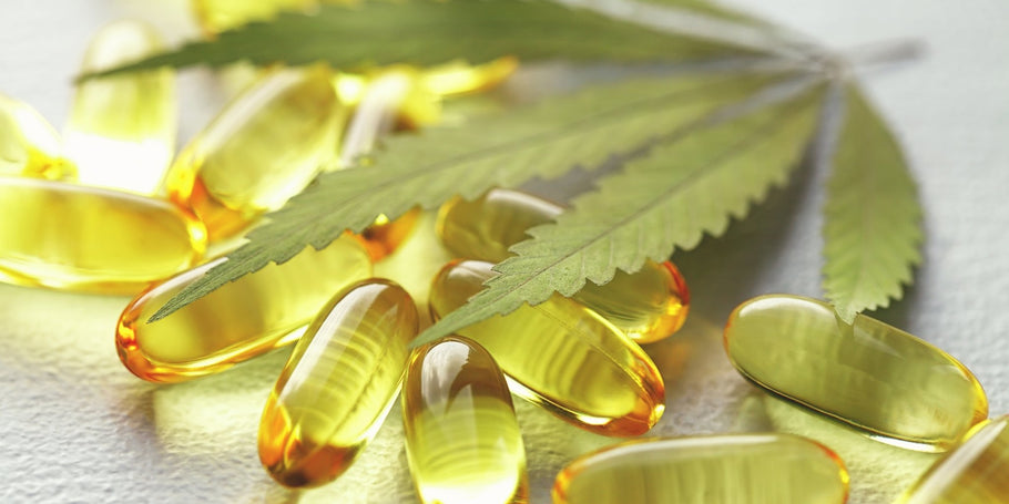 Our Complete Guide To The Best CBD Capsules