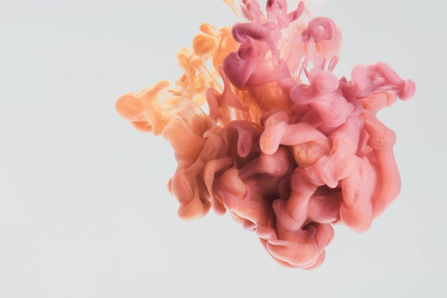 What Is The Endocannabinoid System?